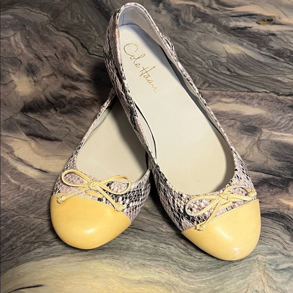 Cole Haan leather ballerina style flats new